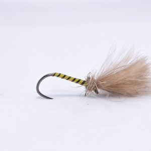 Barbless tellow Owl scaled