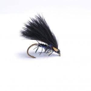 Black UV Jungle cock Corm scaled