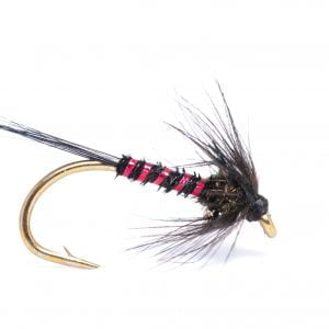 Black cuncher scaled