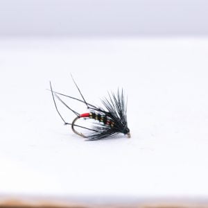 Black pearly hopper with red butt