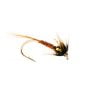 Brown Gold Holo check cruncher edited new scaled