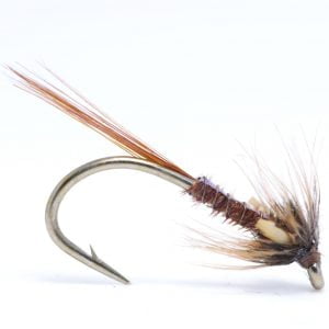 Brown flash back jc cruncher