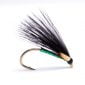 Green holo corm scaled