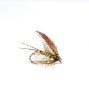Olive Dabbler scaled