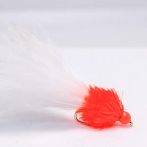 Orange and white hot head scaled