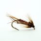 Red Nemo size 10