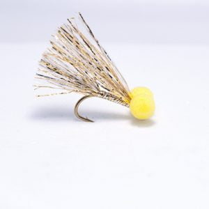 Yellow eyed goldie boobie scaled