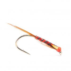 als finsihed DBS scaled