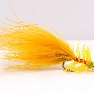 goldhead golden olive damsel scaled