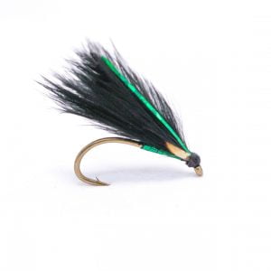 junglecock short tied green flash corm scaled