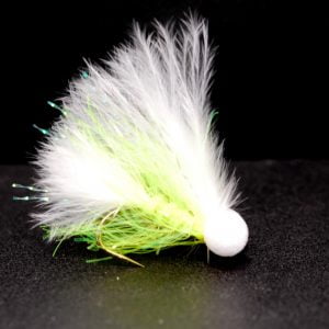 small eyed straggle cat scaled