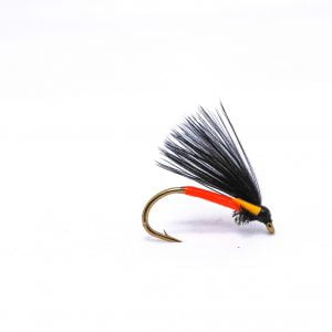 screamer cormorant scaled